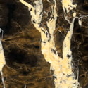 Black and Gold marble